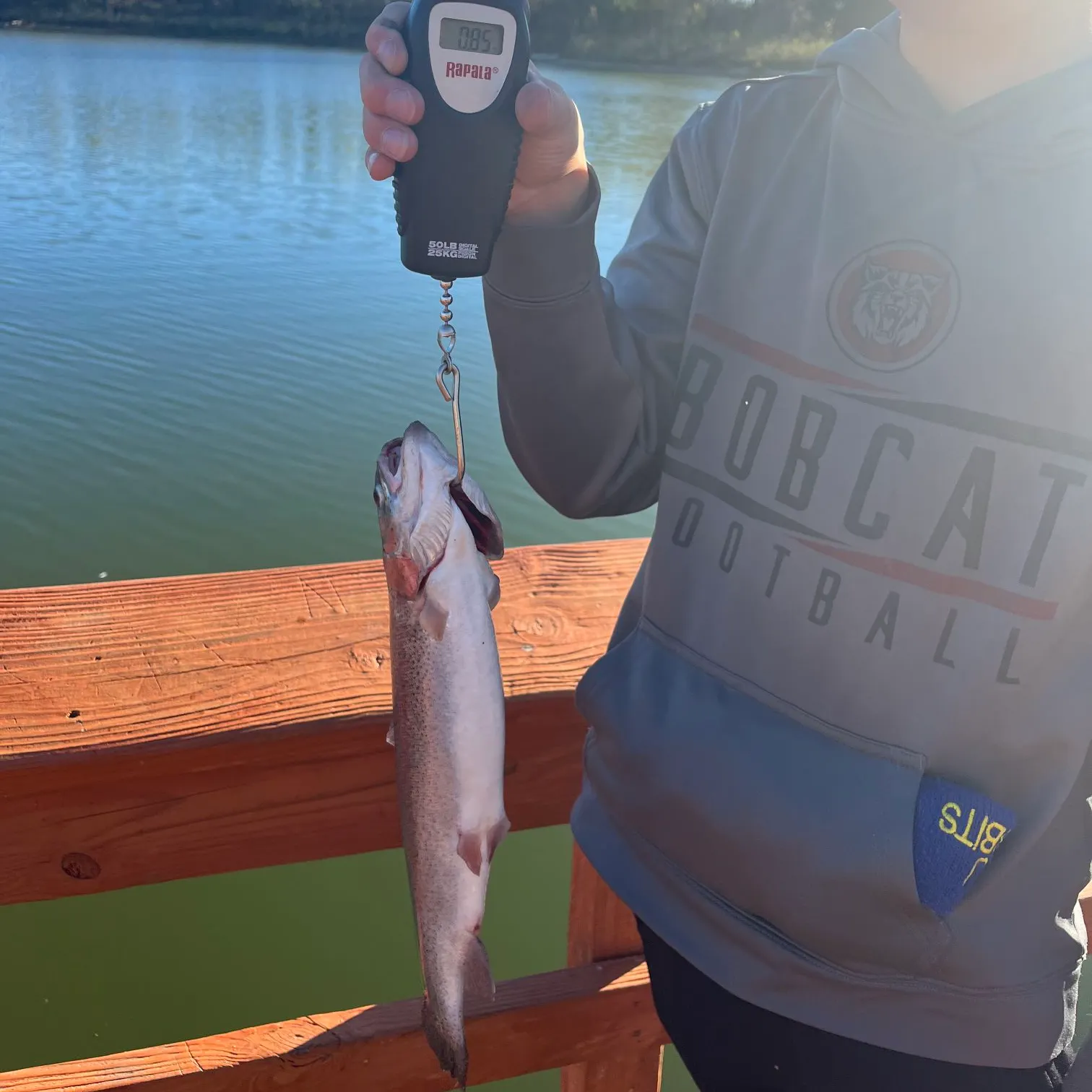 Rainbow trout caught on Fishbrain