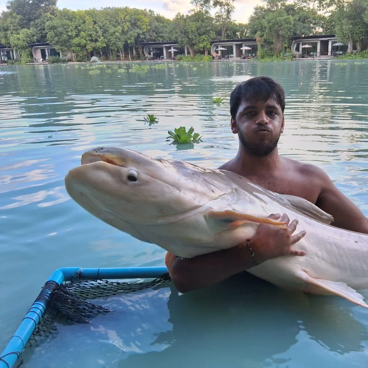 The most recent Mekong giant catfish catches on Fishbrain
