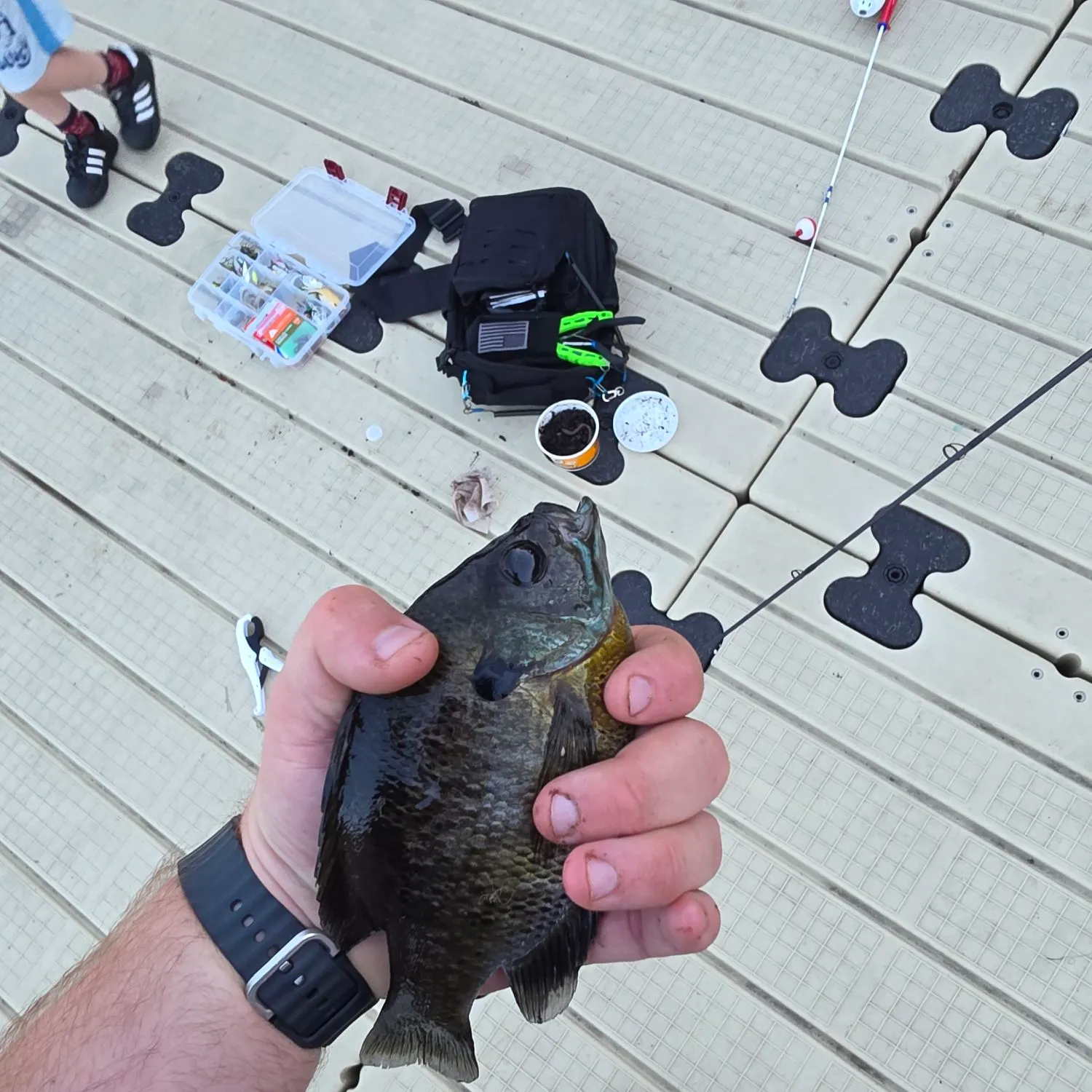 catch