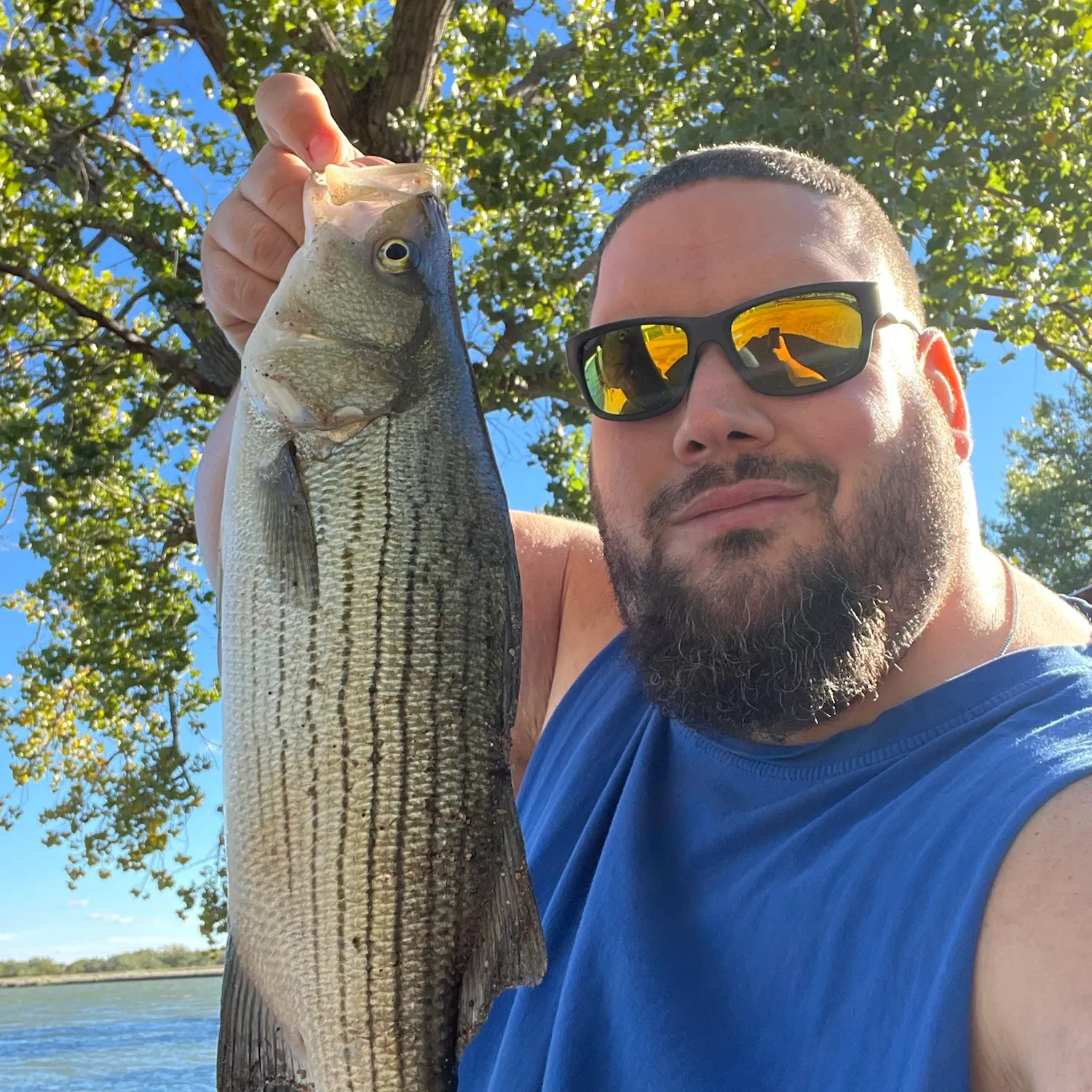 Wiper caught on Fishbrain