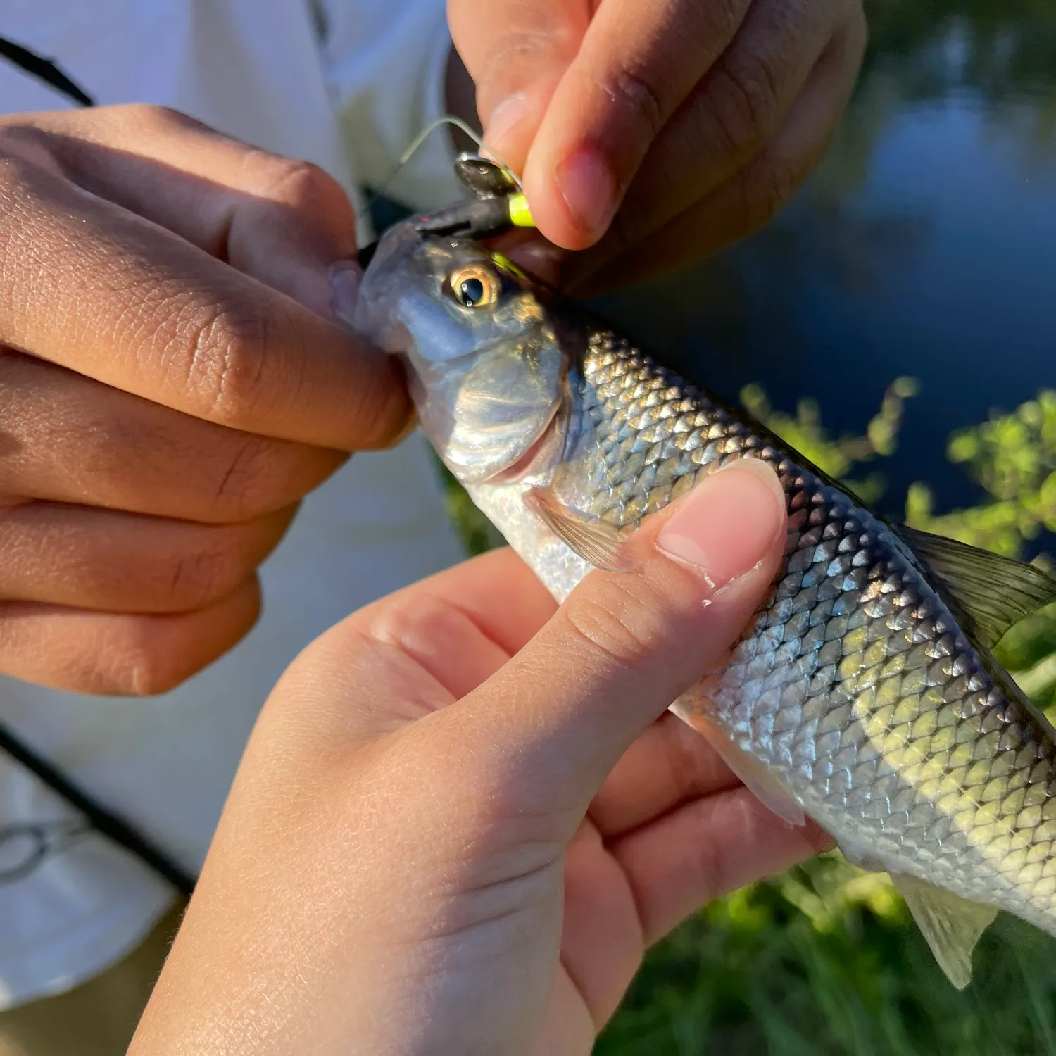 catch