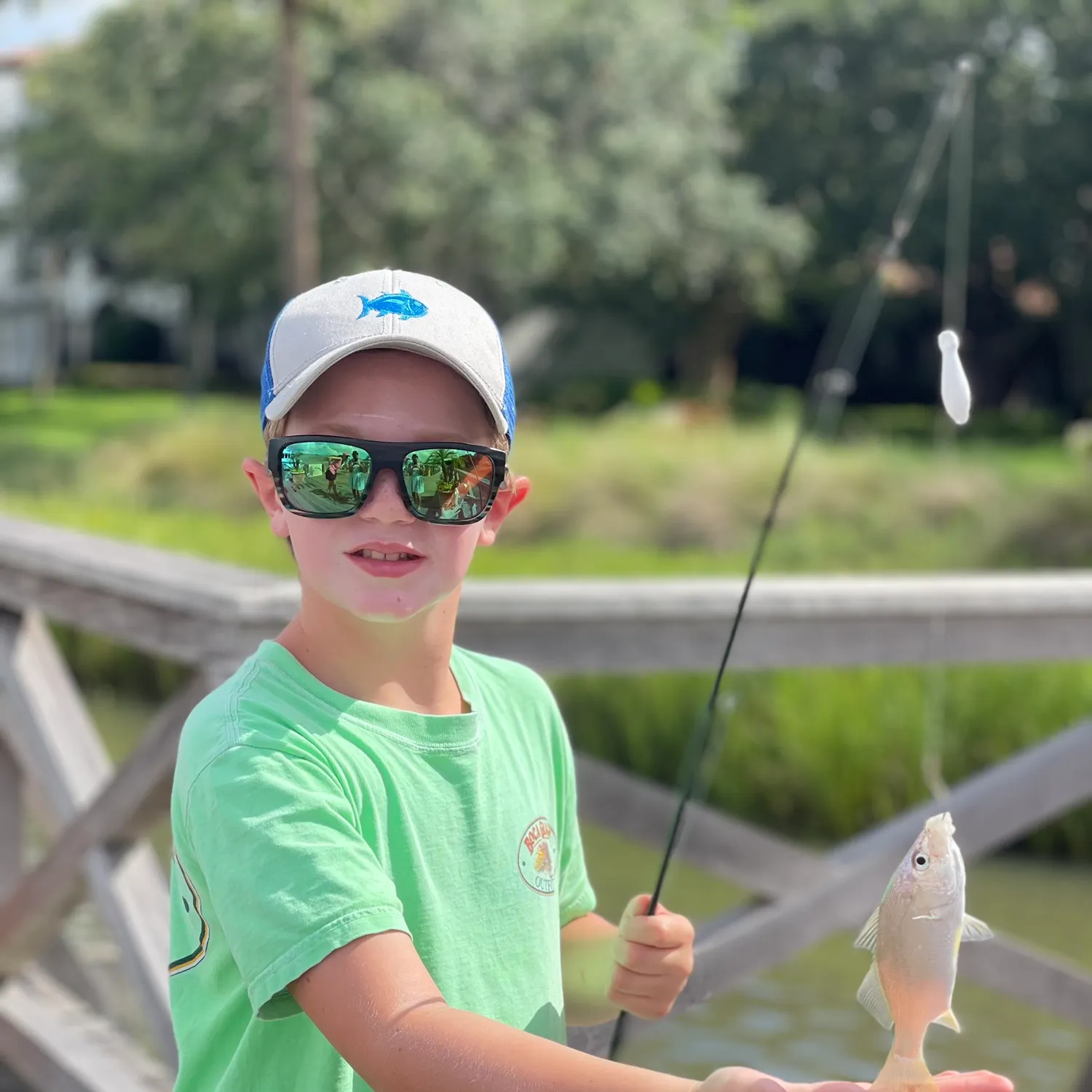The most recent Common seabream catches on Fishbrain