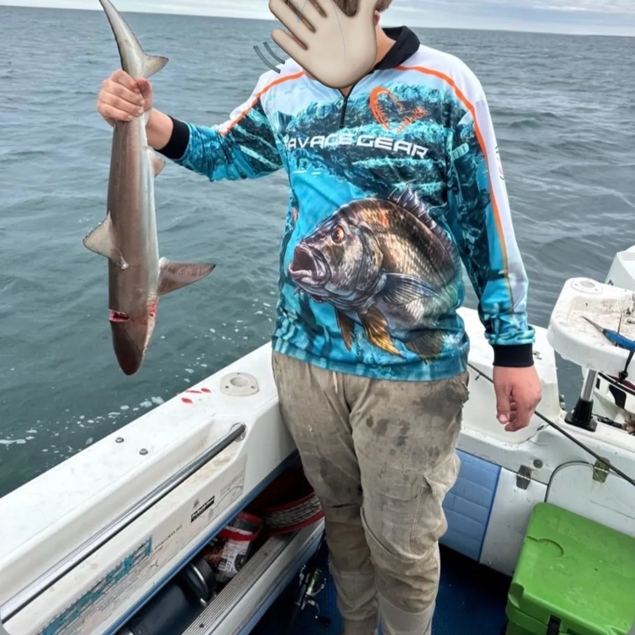 The most recent Copper shark catches on Fishbrain