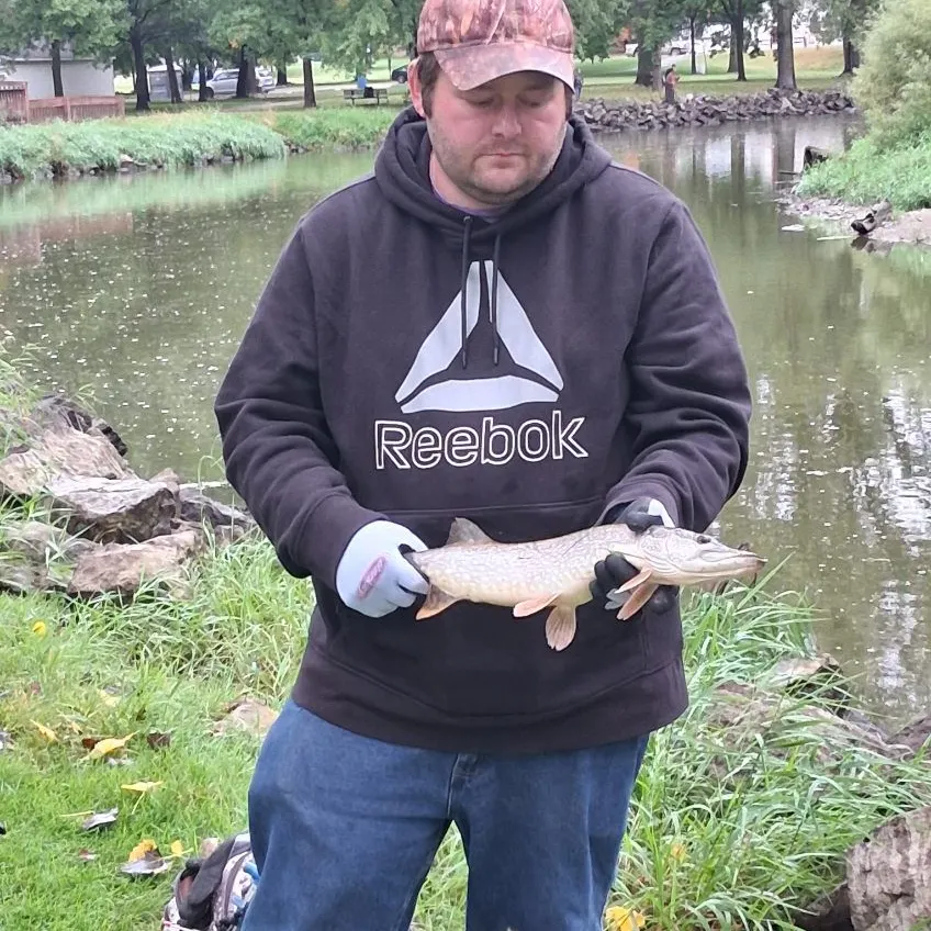 Northern pike caught on Fishbrain