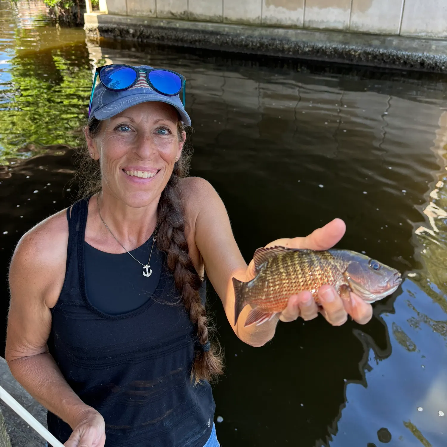 Mangrove snapper caught on Fishbrain