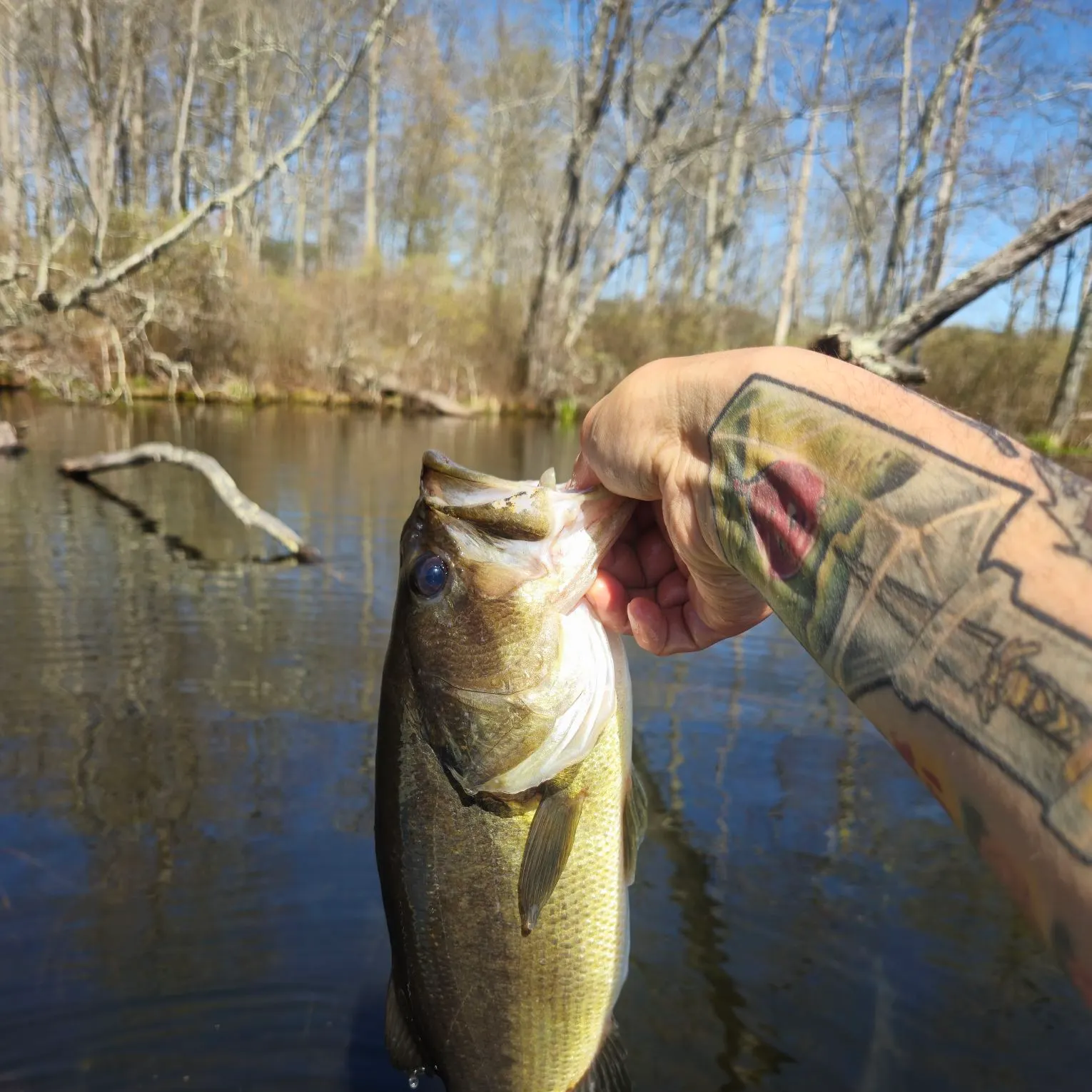catch