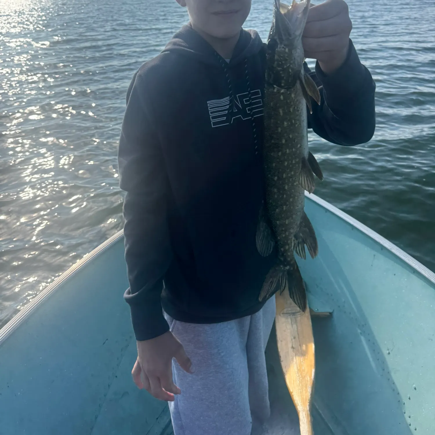 Northern pike caught on Fishbrain