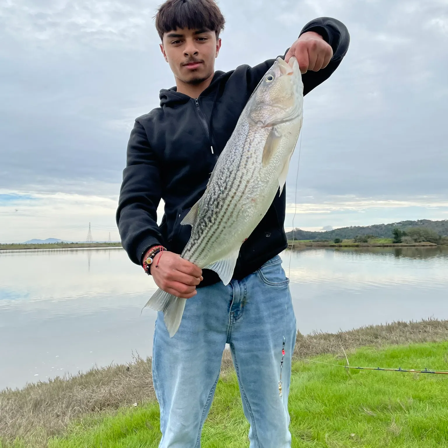 Striped bass caught on Fishbrain