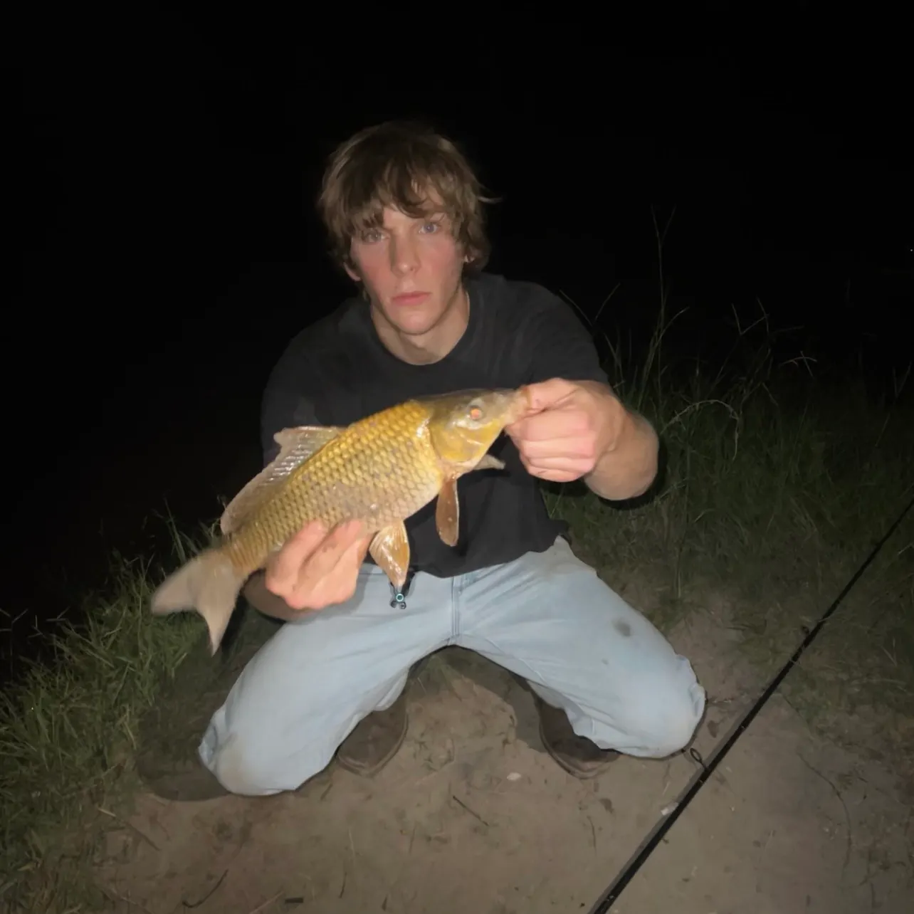 Common carp caught on Fishbrain