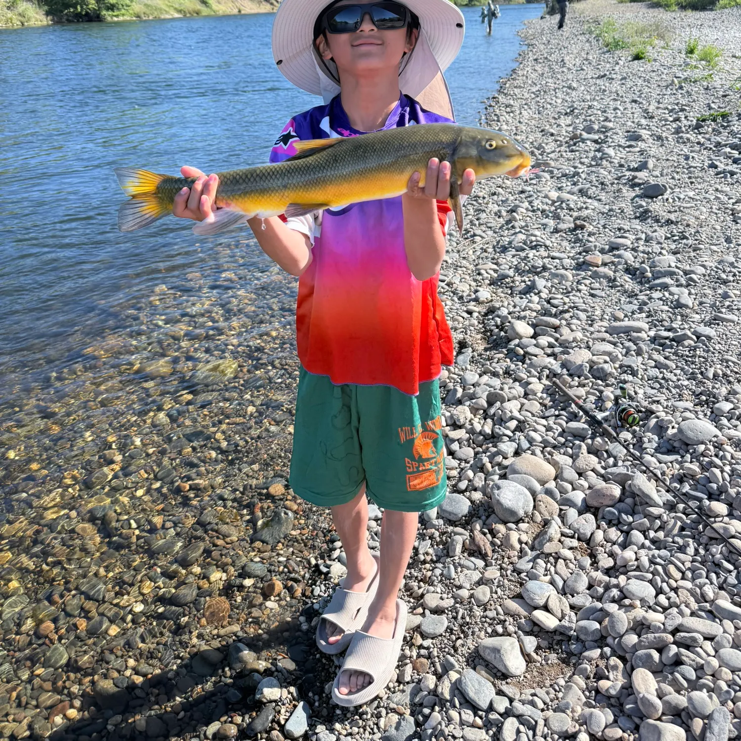 The most recent Sacramento sucker catches on Fishbrain