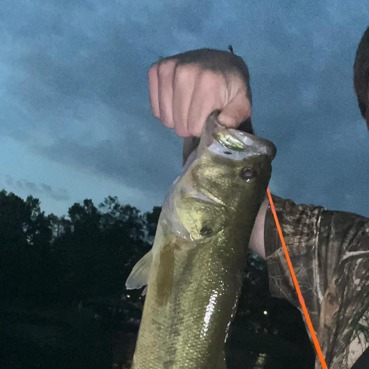 Largemouth bass caught on Fishbrain