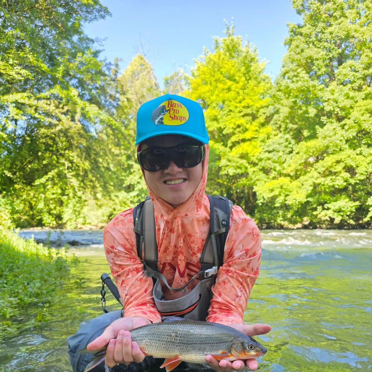 The most recent Common nase catches on Fishbrain