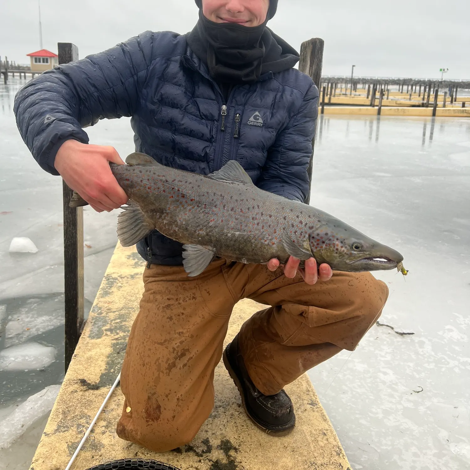 The most recent Atlantic salmon catches on Fishbrain