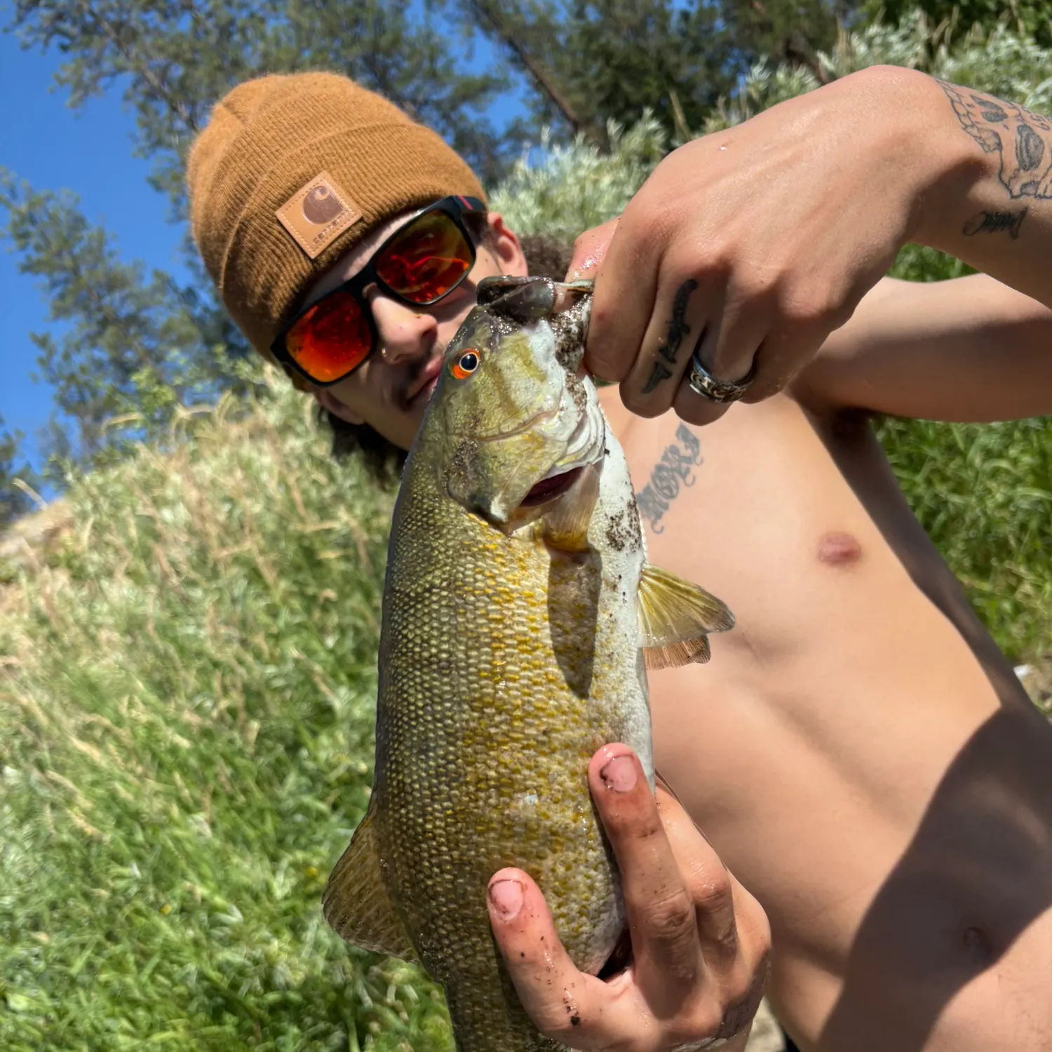 recently logged catches