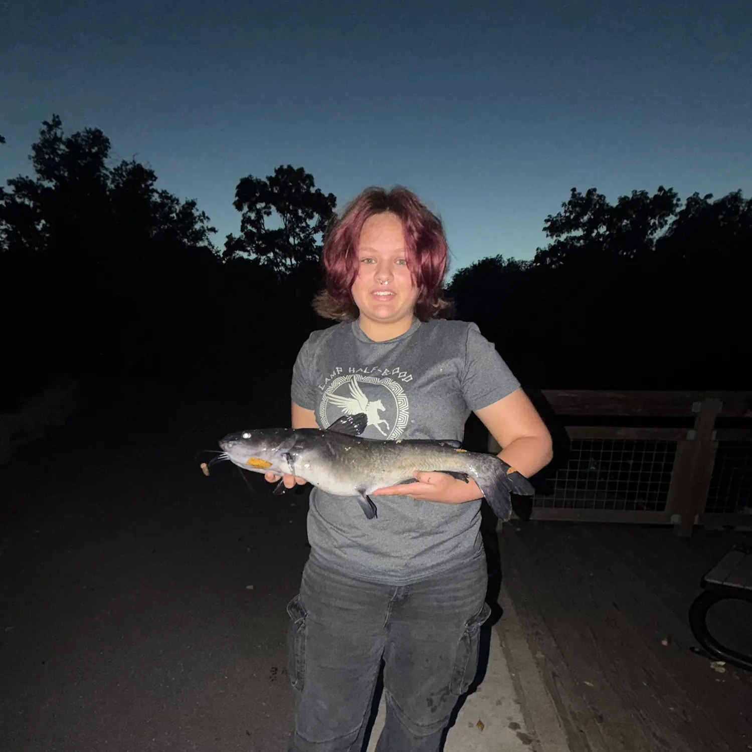 Channel catfish caught on Fishbrain