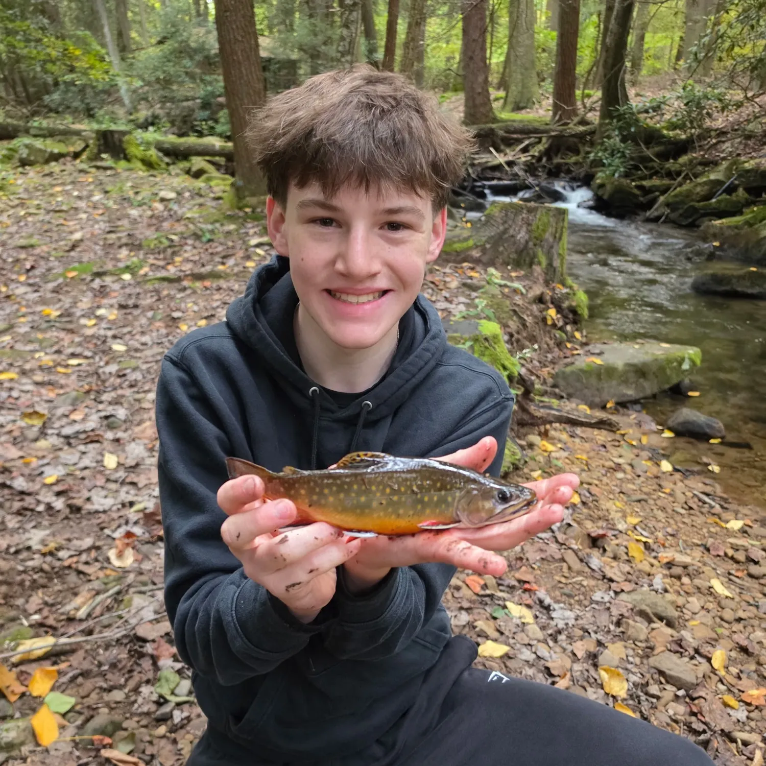 Brook trout caught on Fishbrain