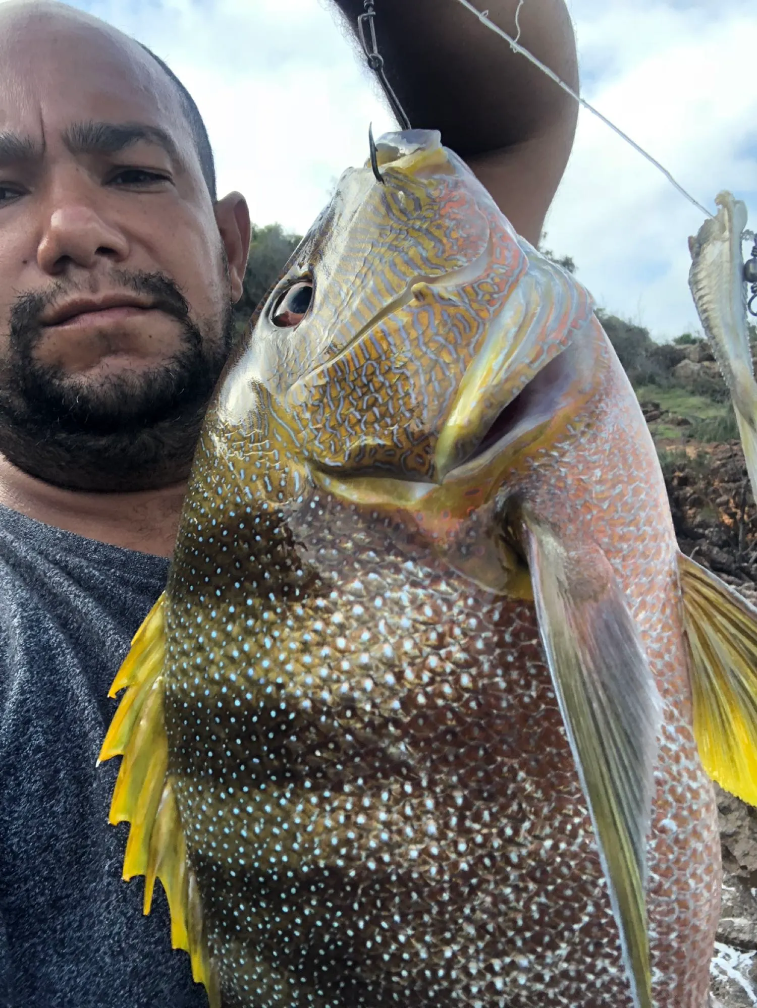 Post image from jose-da-silva