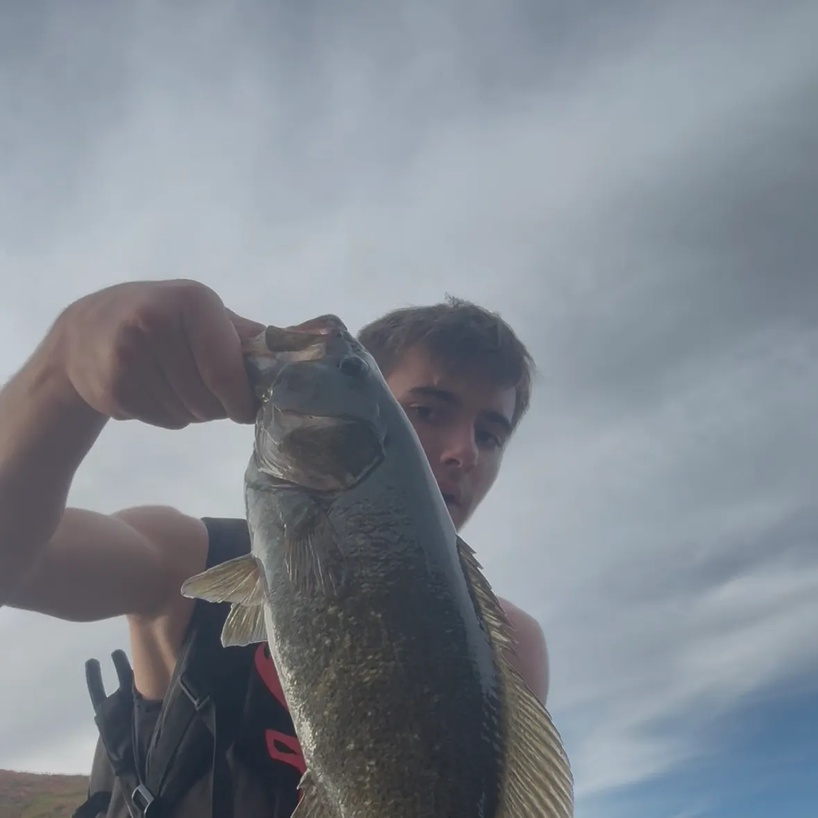 Smallmouth bass caught on Fishbrain