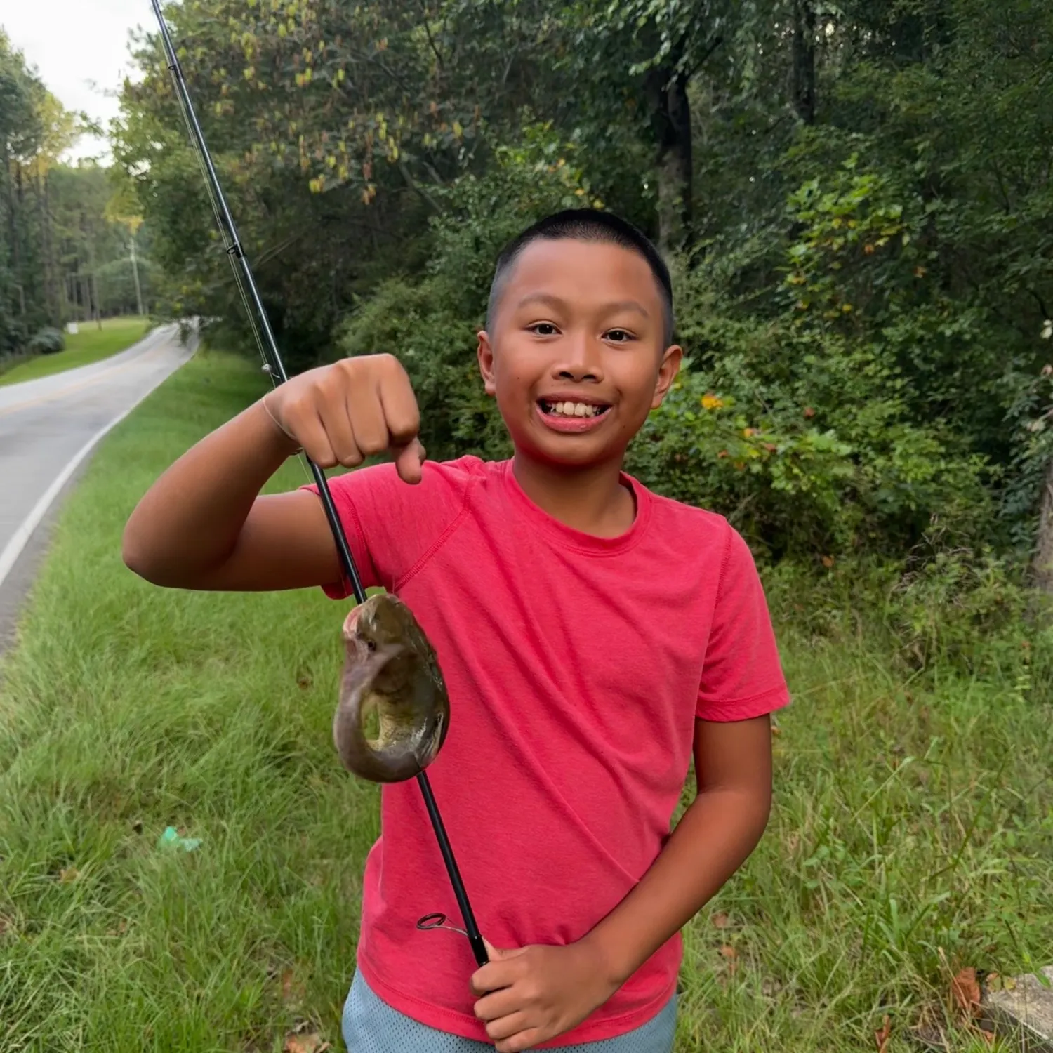 Brown bullhead caught on Fishbrain