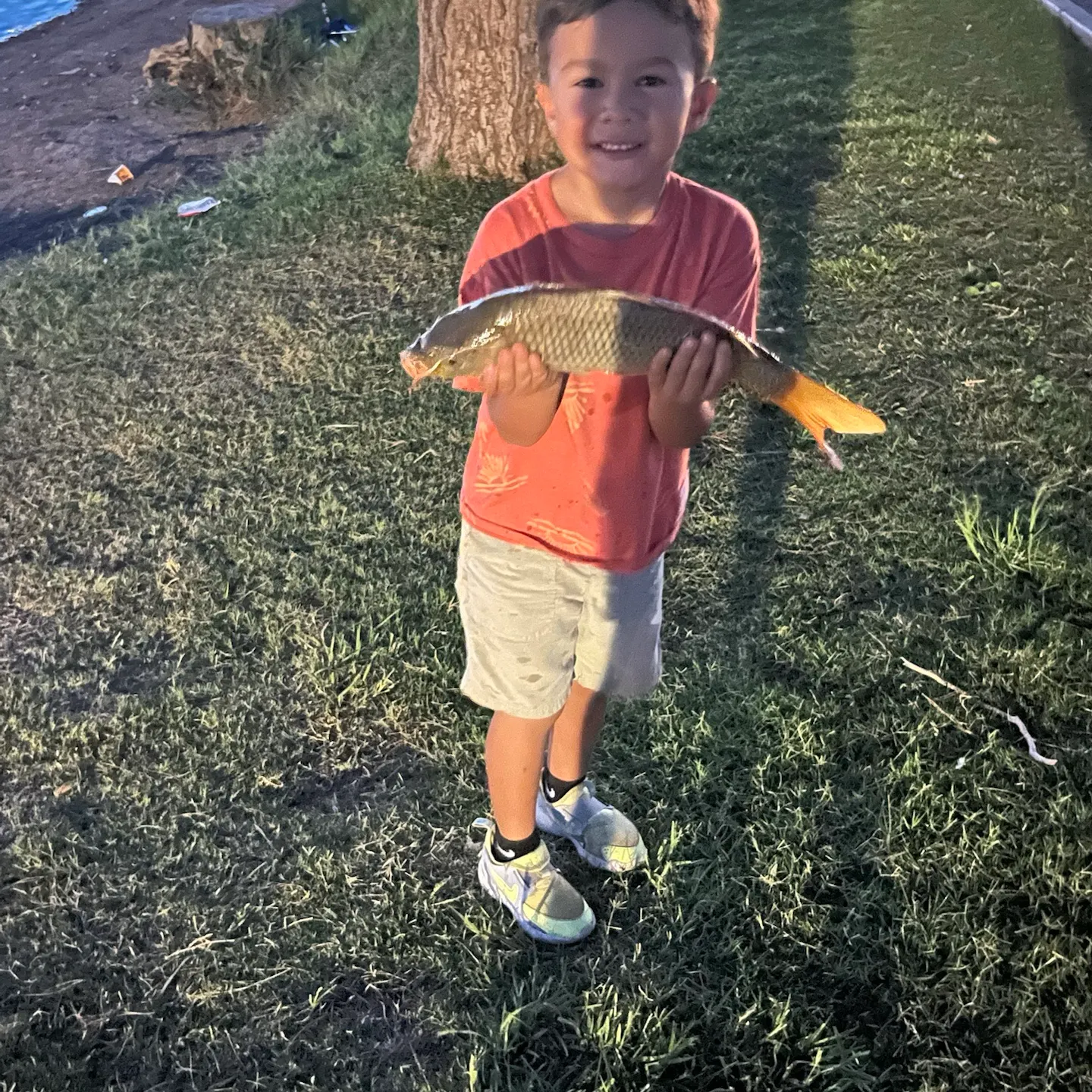 Common carp caught on Fishbrain