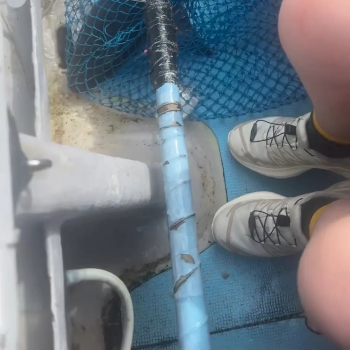 The most recent Blue shark catches on Fishbrain