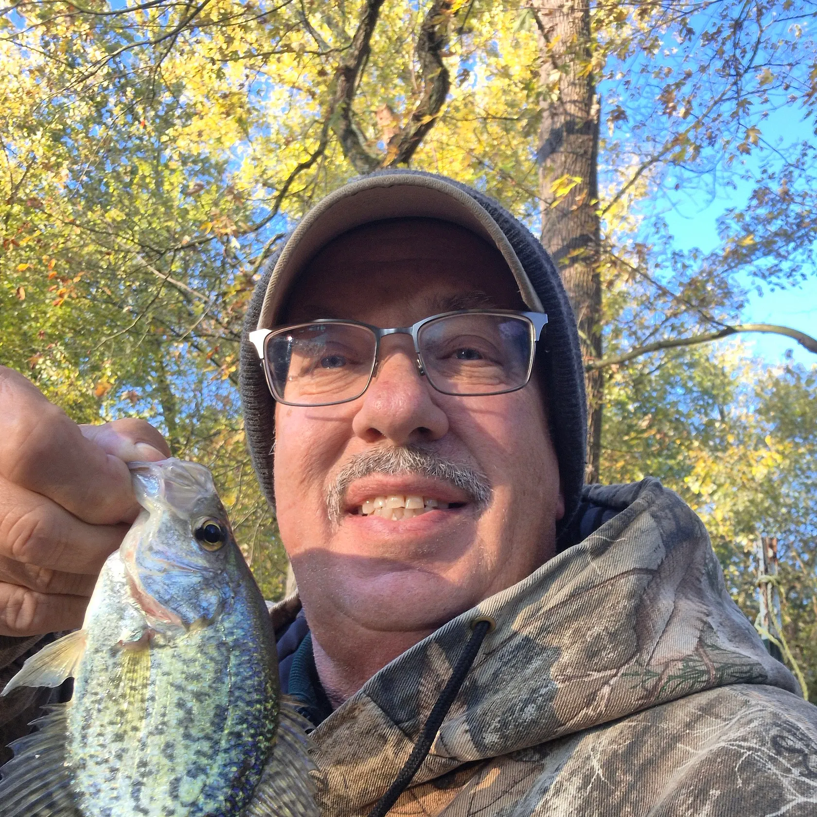 Black crappie caught on Fishbrain