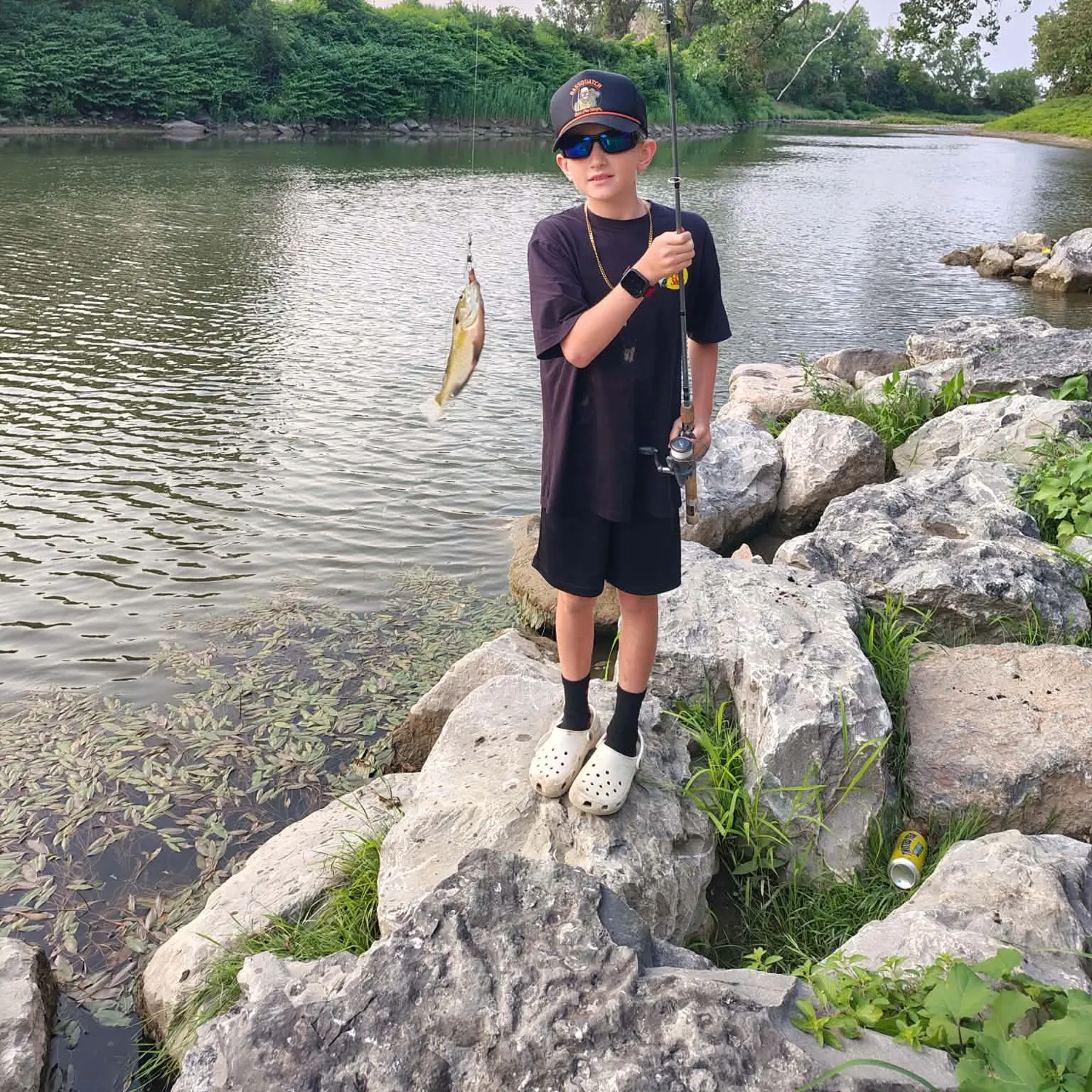 The most recent Redbreast sunfish x bluegill catches on Fishbrain