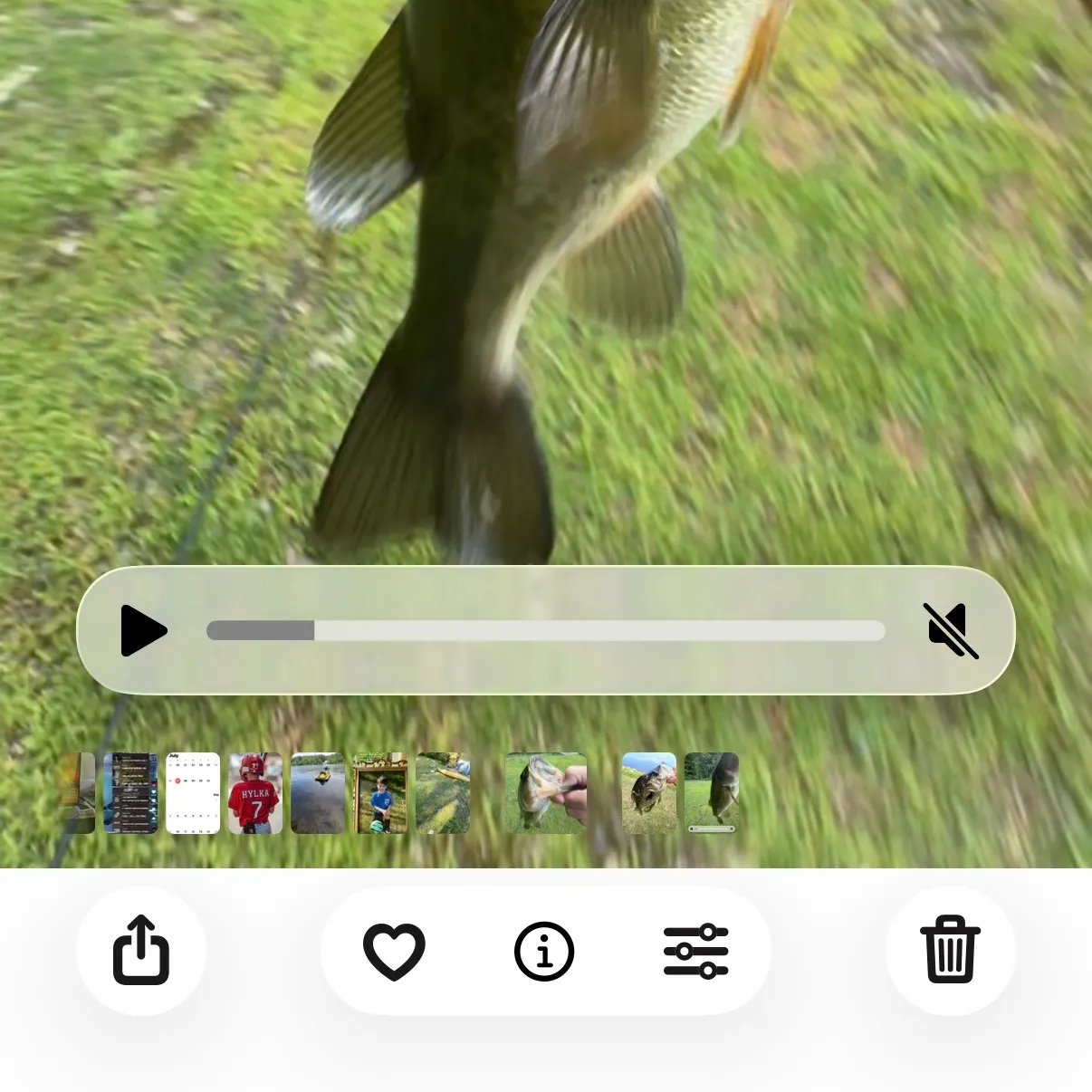 recently logged catches