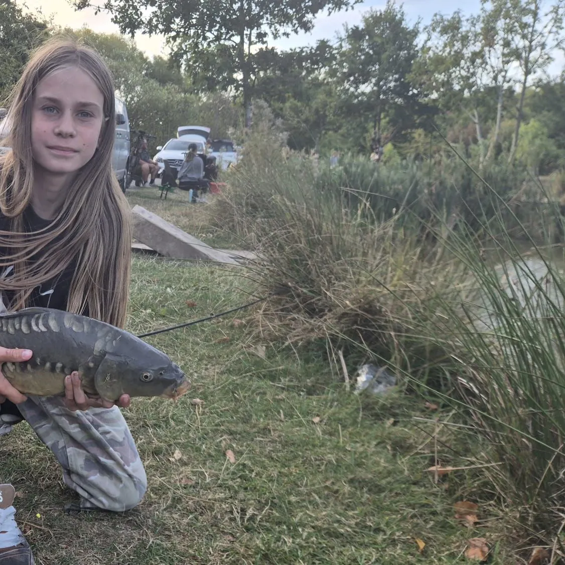 Mirror carp caught on Fishbrain