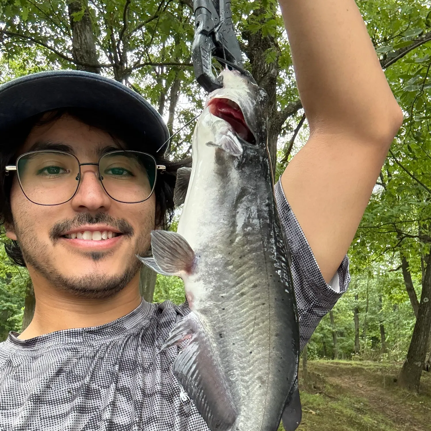 Channel catfish caught on Fishbrain