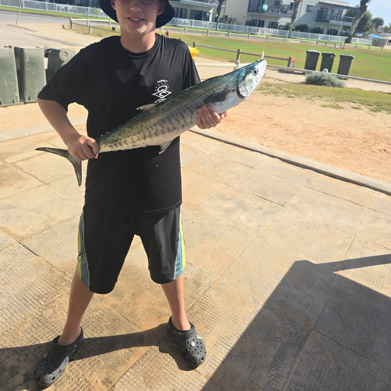 The most recent Narrow-barred Spanish mackerel catches on Fishbrain
