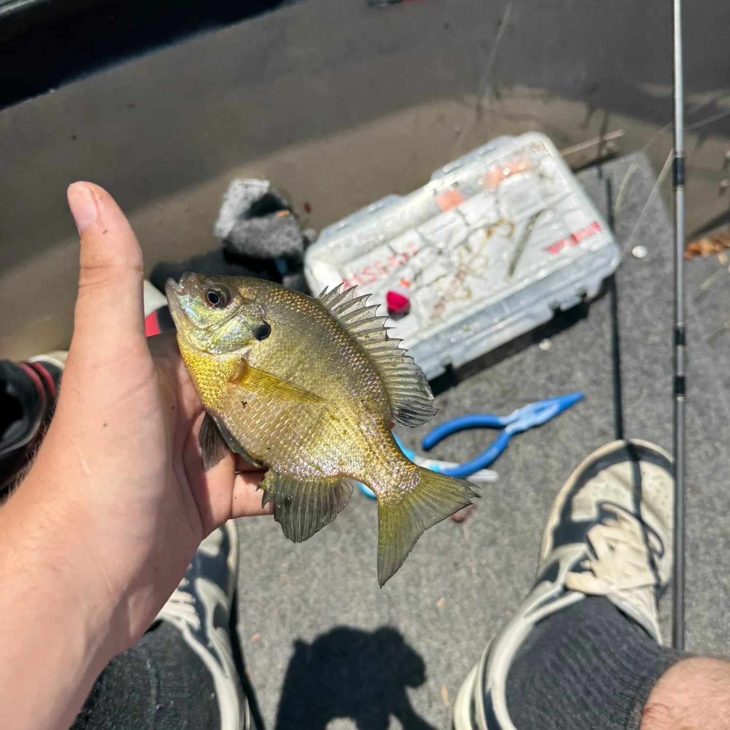 catch
