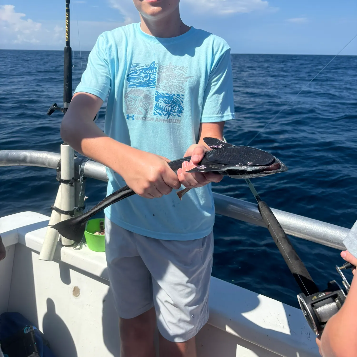 The most recent Common remora catches on Fishbrain