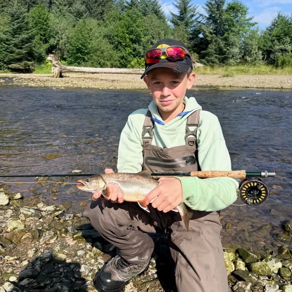The most recent Dolly varden catches on Fishbrain