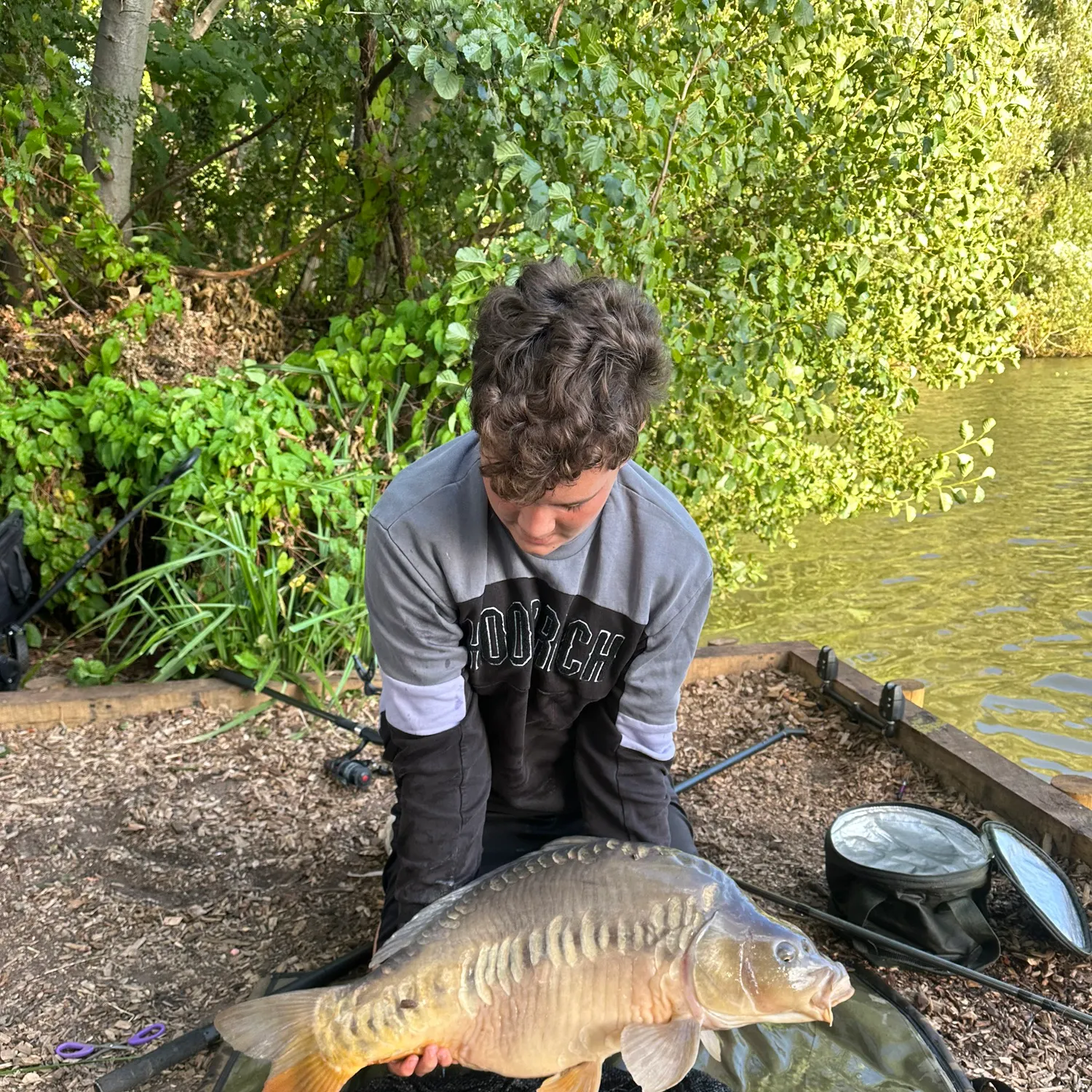 Mirror carp caught on Fishbrain