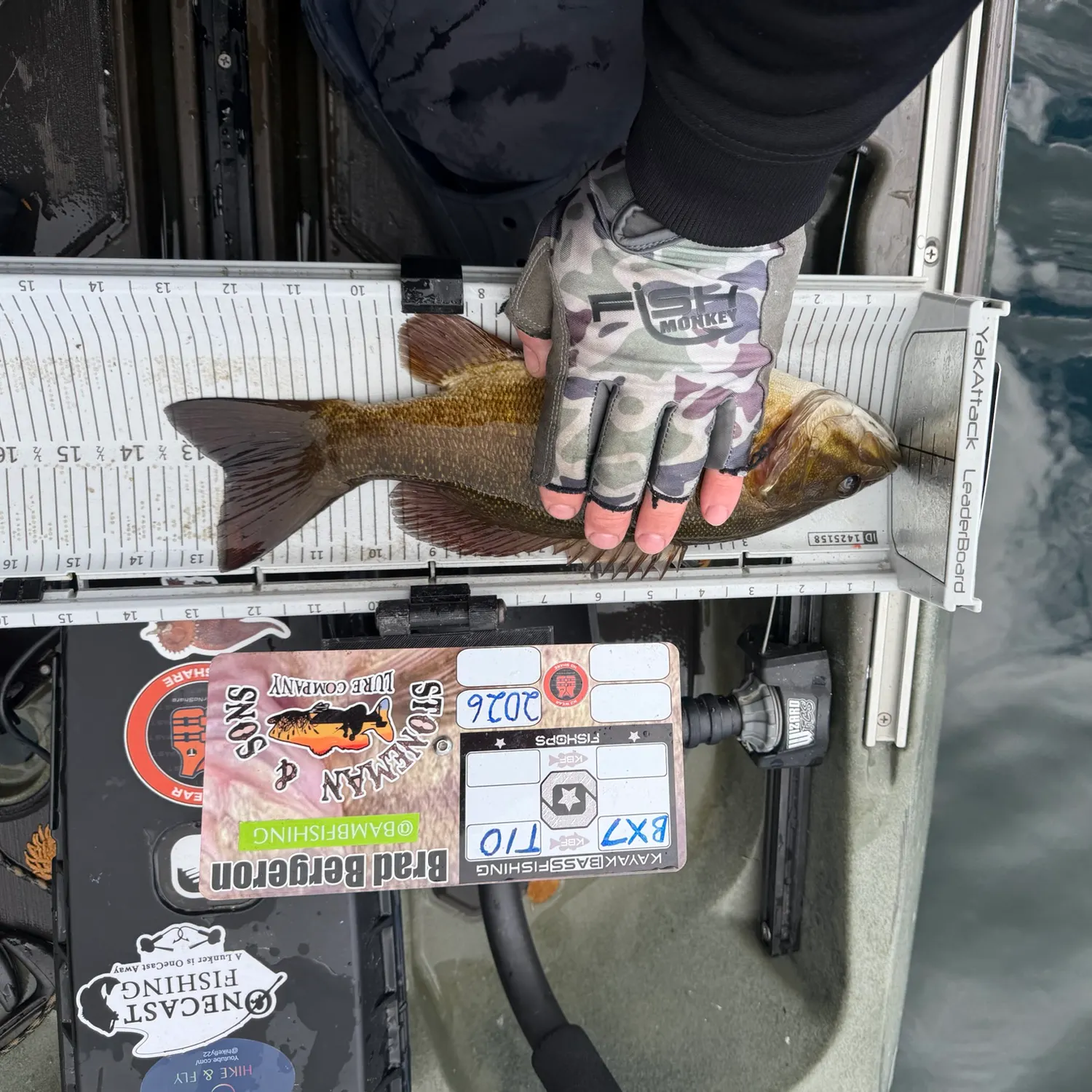 Smallmouth bass caught on Fishbrain