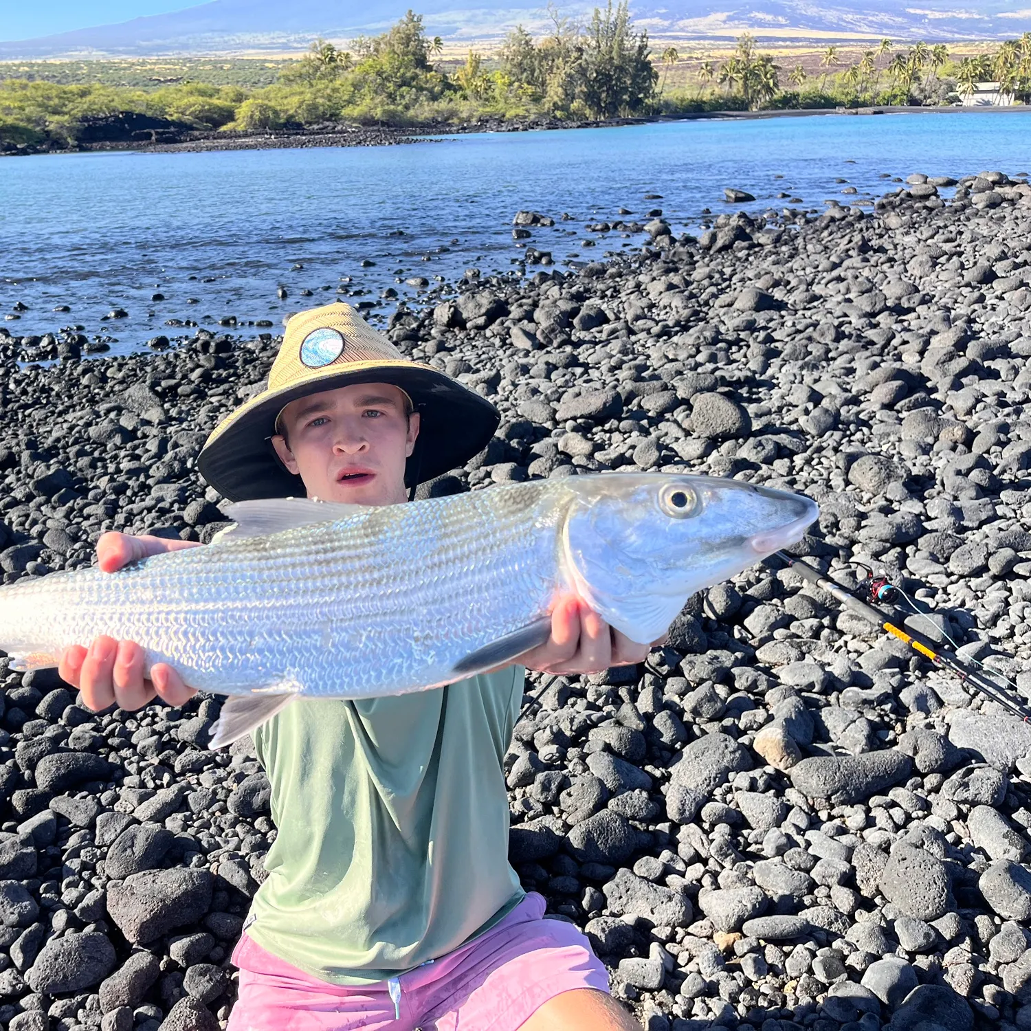 The most recent West Atlantic bonefish catches on Fishbrain