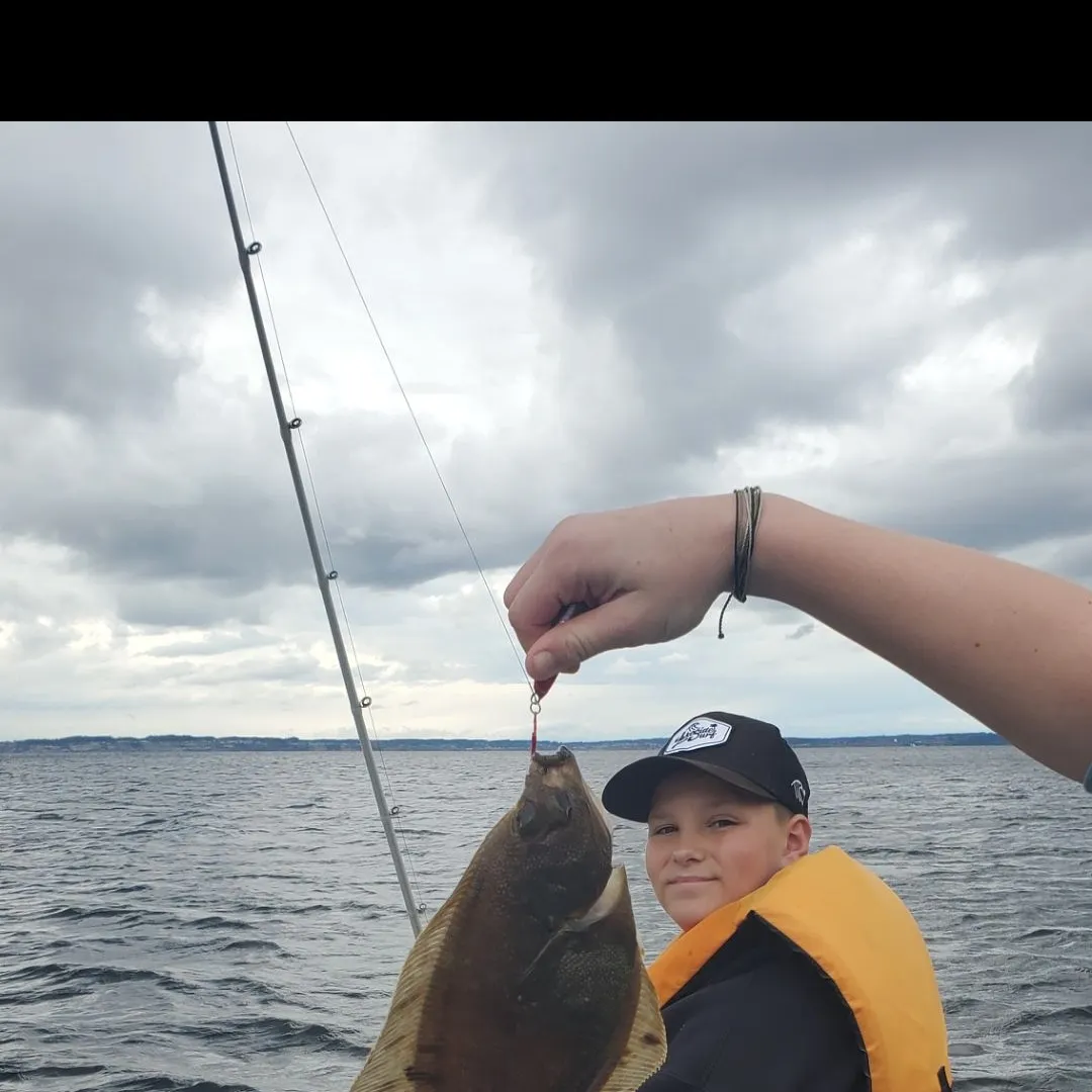 The most recent Starry flounder catches on Fishbrain