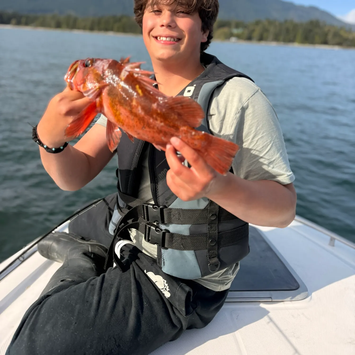Copper rockfish caught on Fishbrain