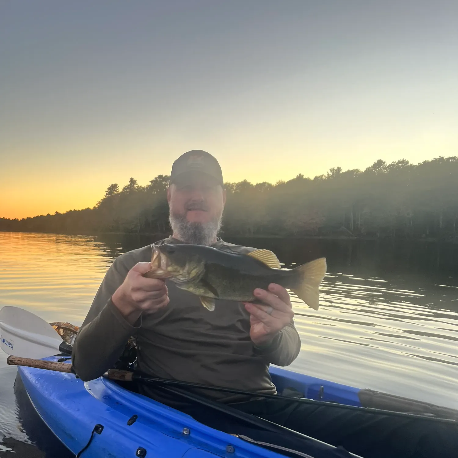 Largemouth bass caught on Fishbrain