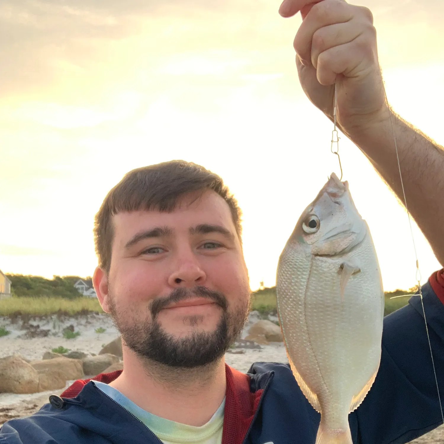 The most recent Scup catches on Fishbrain