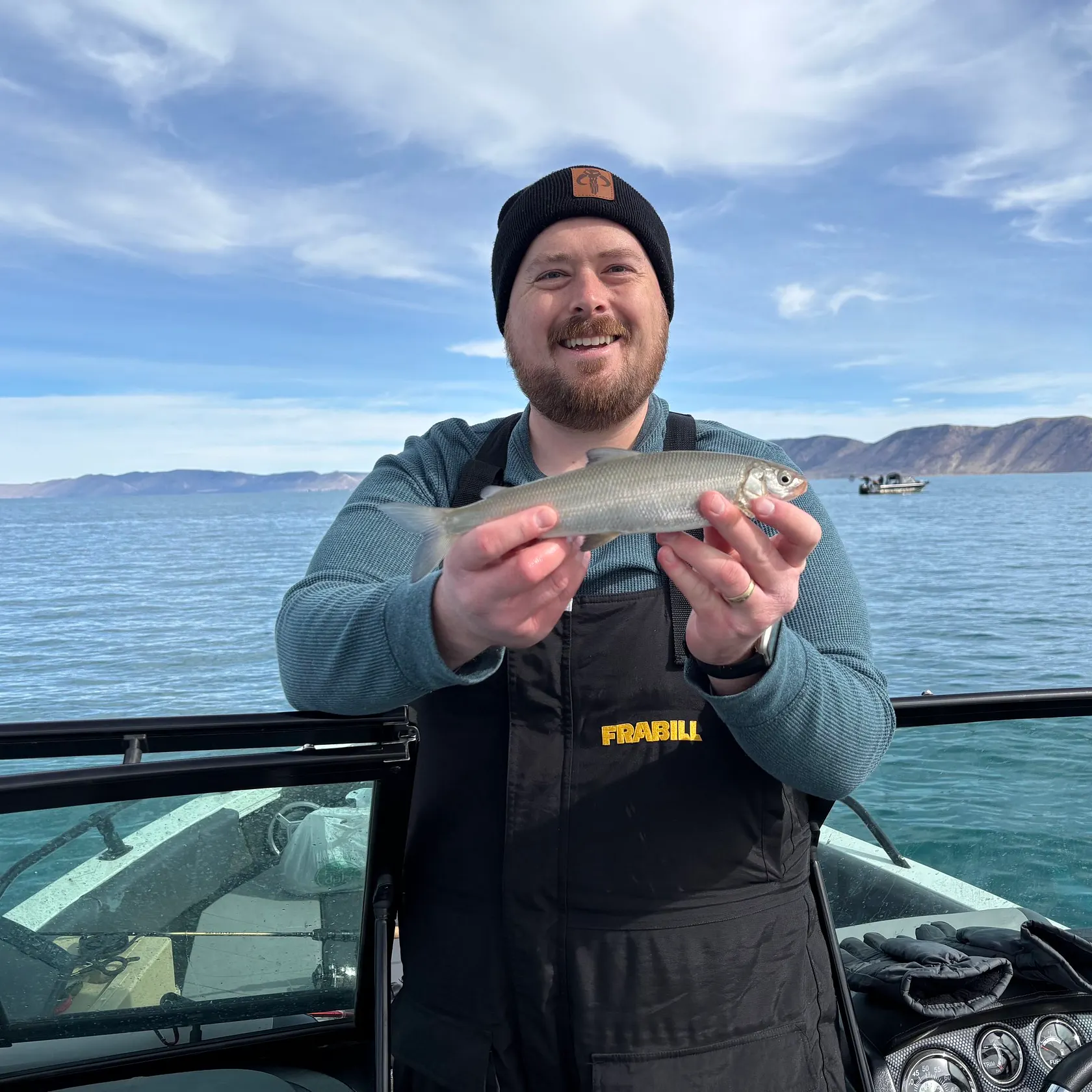 The most recent Bonneville whitefish catches on Fishbrain