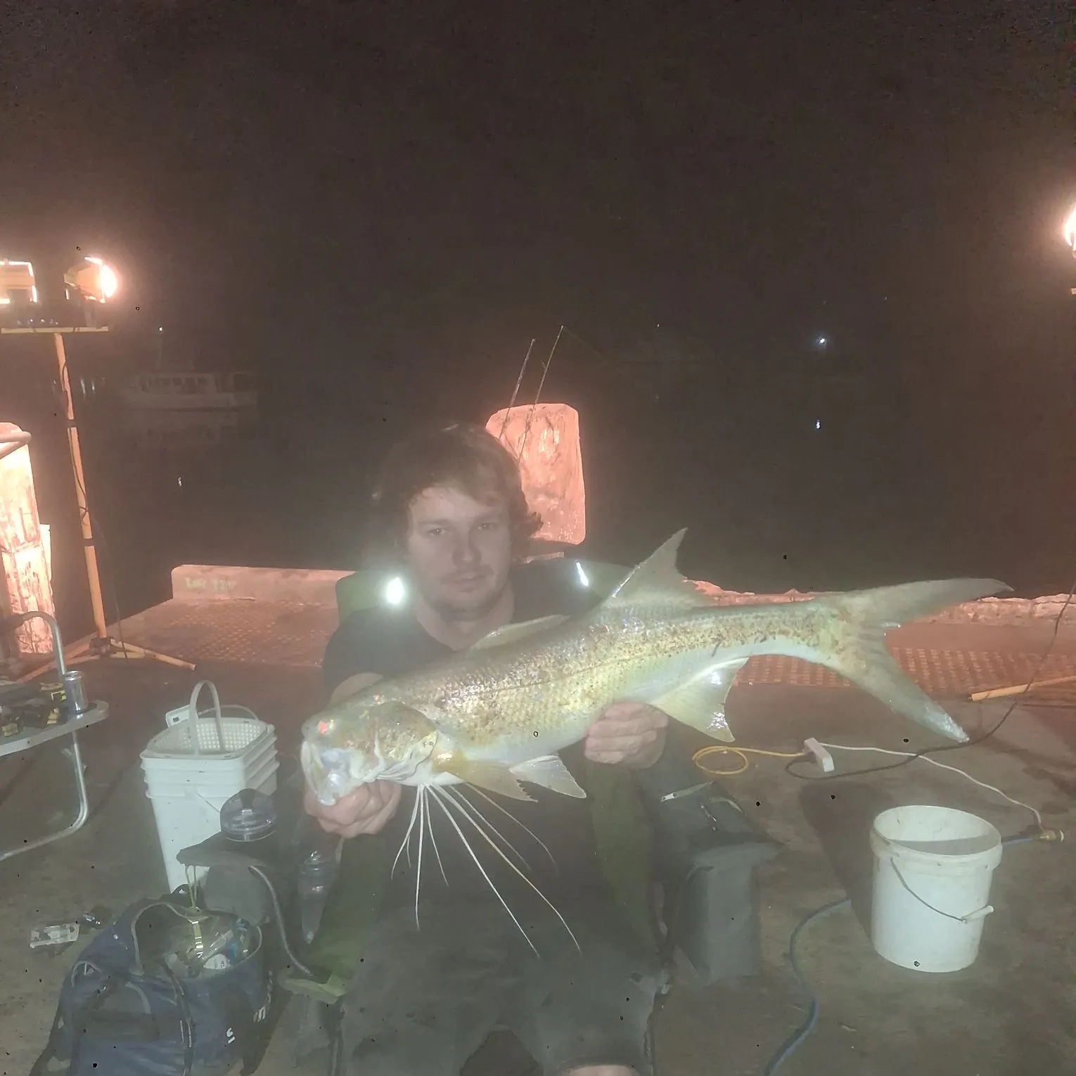 The most recent King threadfin catches on Fishbrain