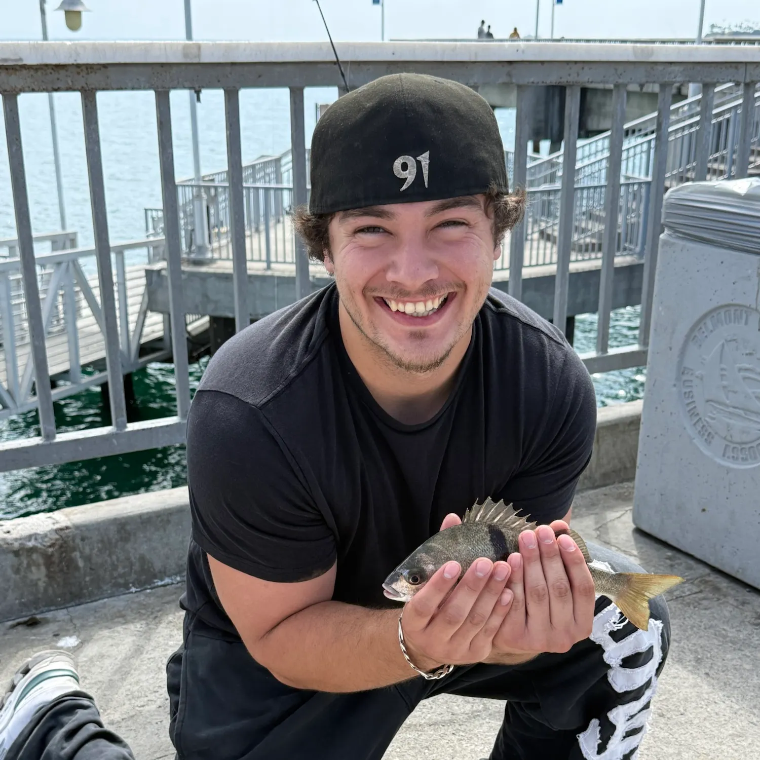 The most recent Sargo catches on Fishbrain