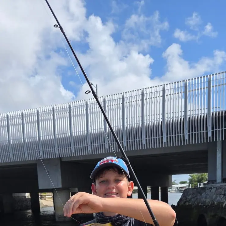 The most popular recent Silver moony catch on Fishbrain