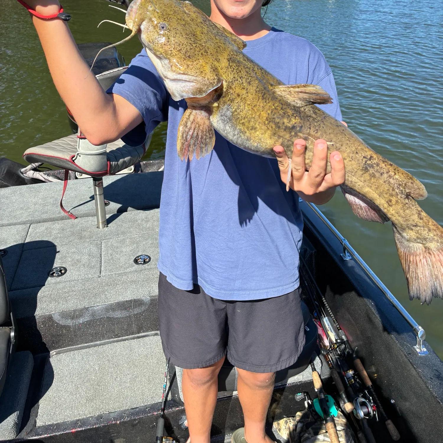 Flathead catfish caught on Fishbrain