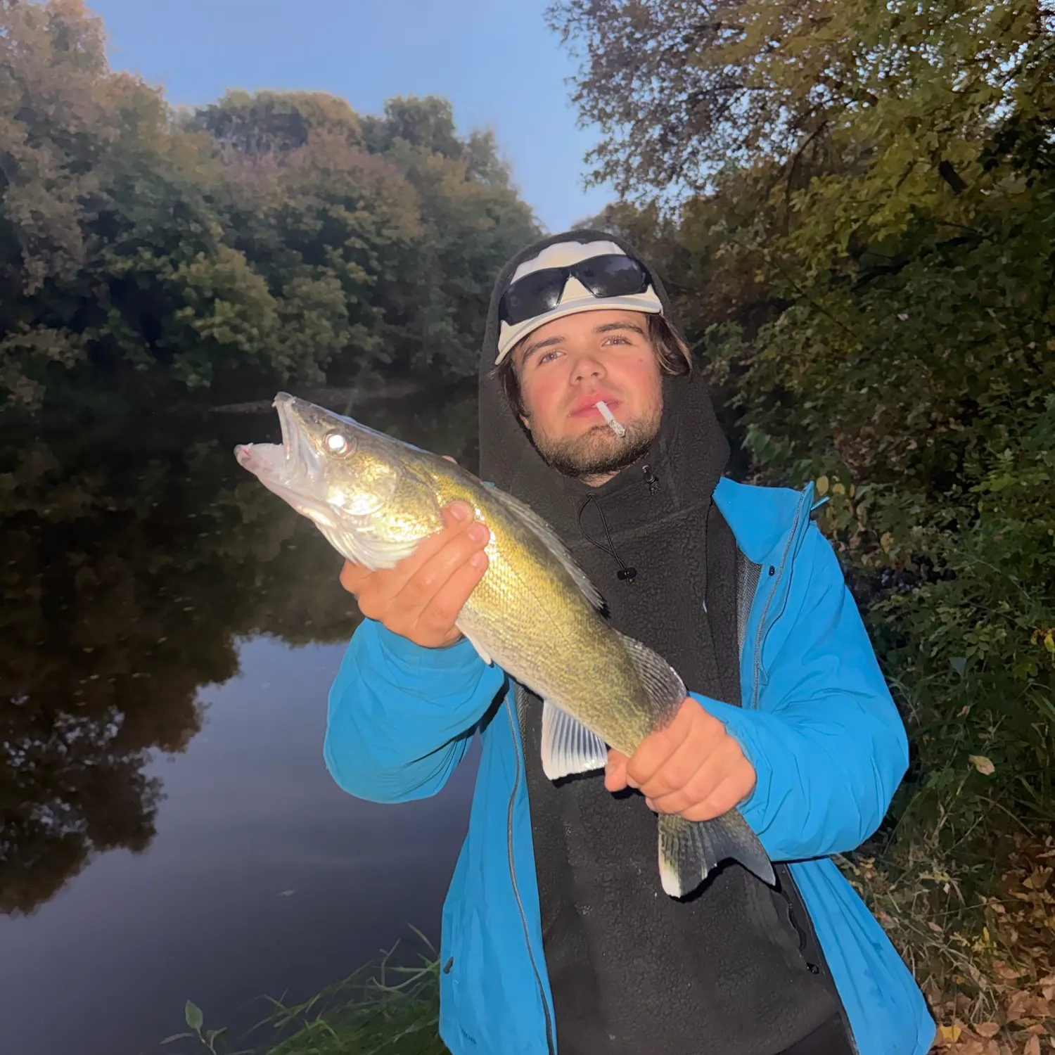 Walleye caught on Fishbrain