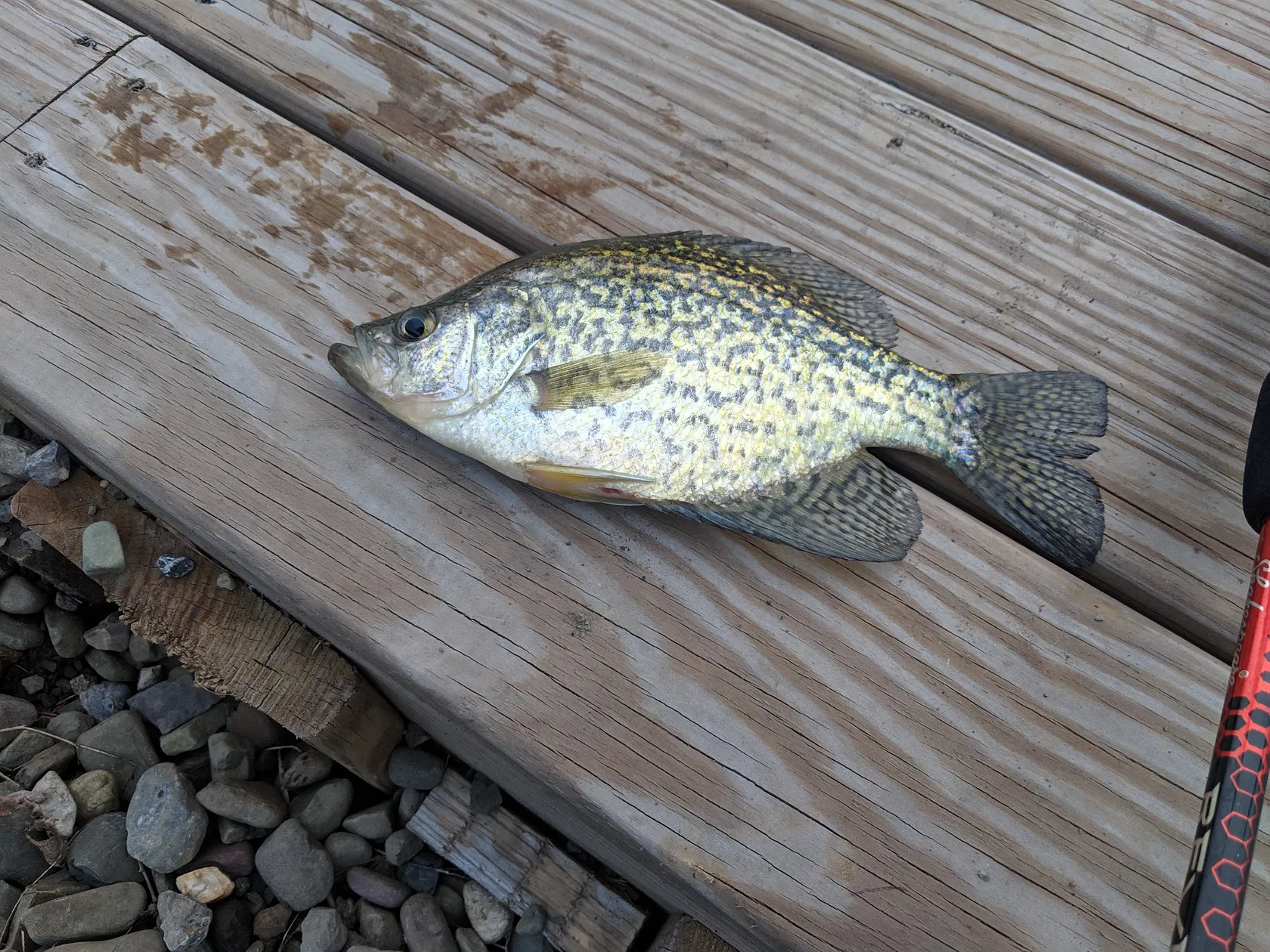 Post image from rg1993