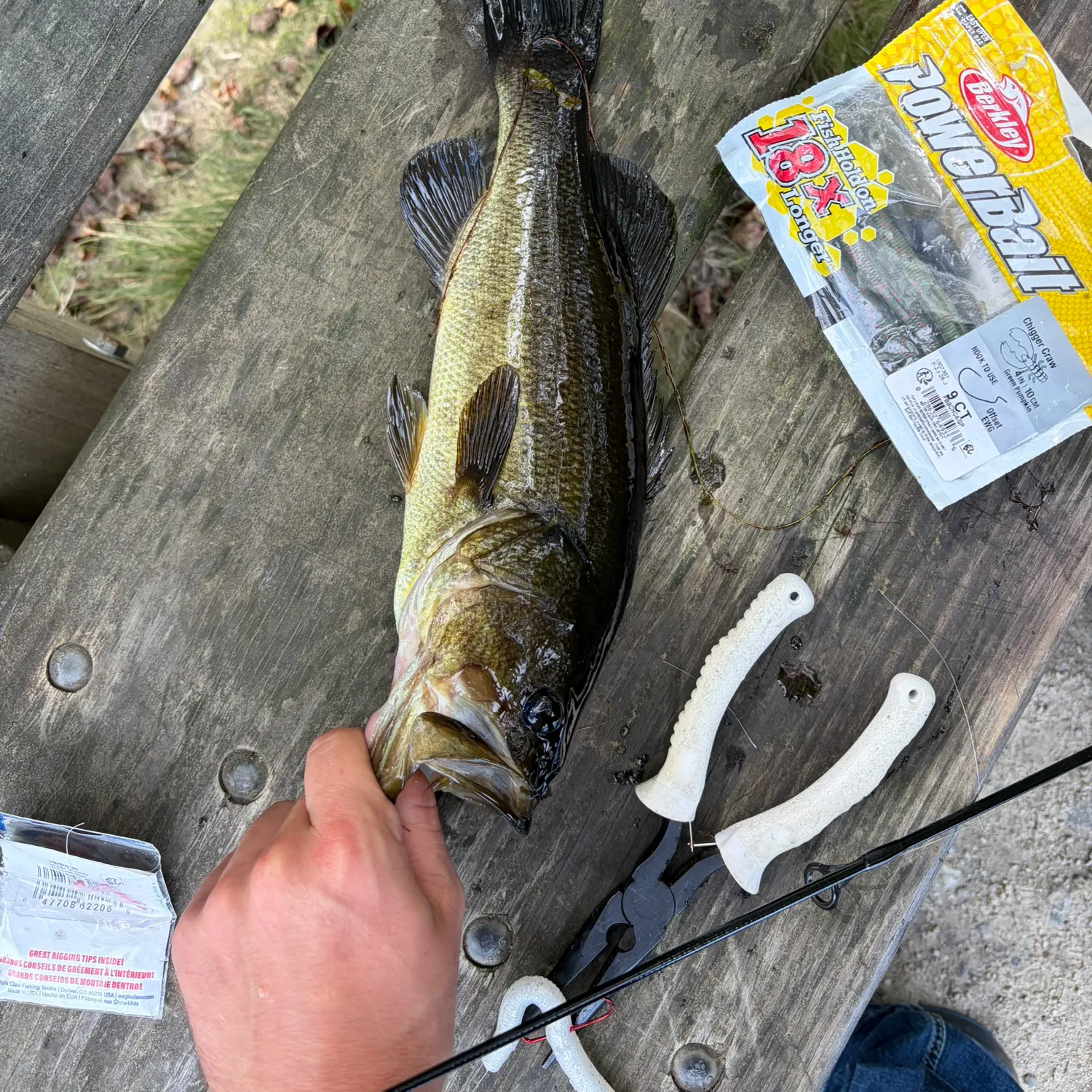 Largemouth bass caught on Fishbrain