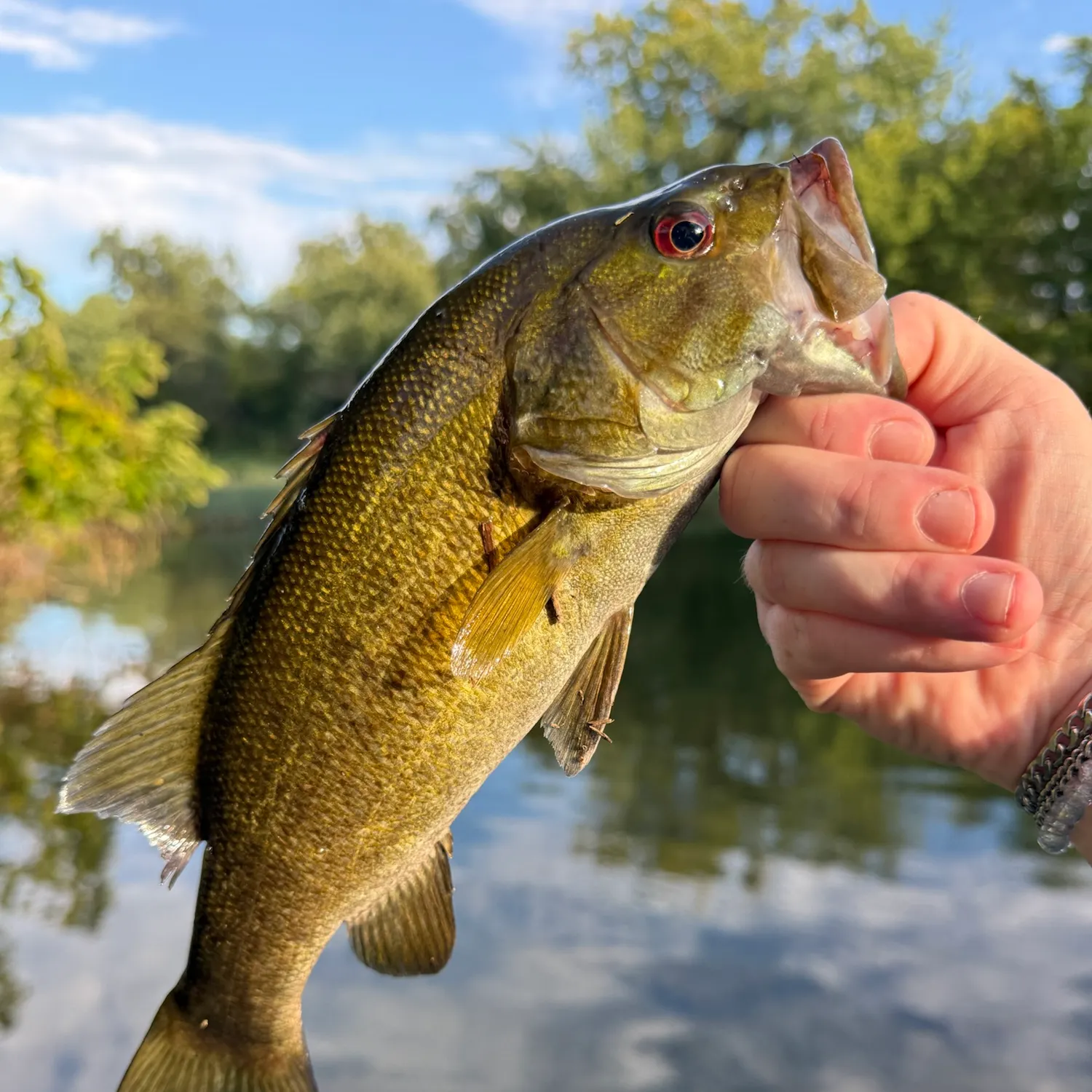 Smallmouth bass caught on Fishbrain
